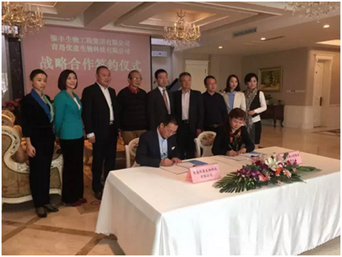 PA��Ѷ(�й���)����-PlayAce