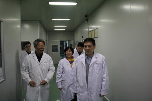 PA��Ѷ(�й���)����-PlayAce