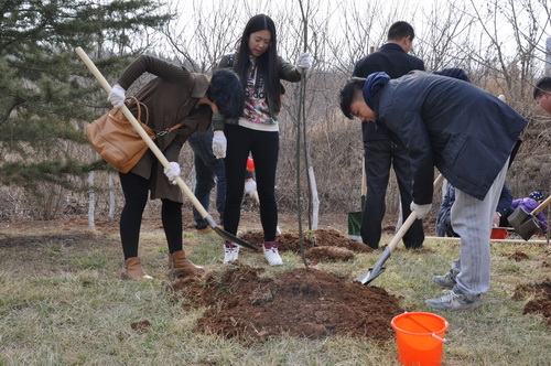 PA��Ѷ(�й���)����-PlayAce