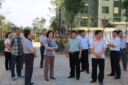 PA��Ѷ(�й���)����-PlayAce