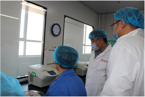 PA��Ѷ(�й���)����-PlayAce