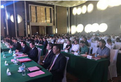 PA��Ѷ(�й���)����-PlayAce