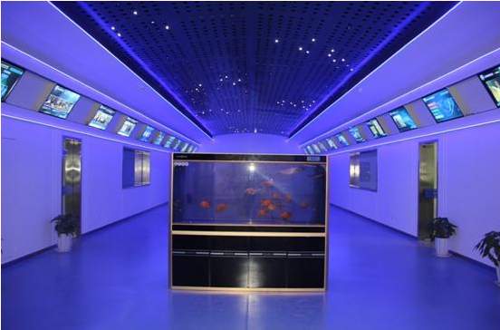 PA��Ѷ(�й���)����-PlayAce