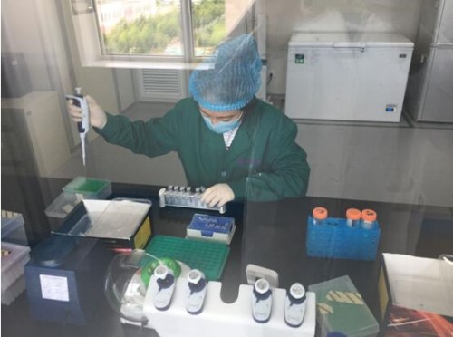 PA视讯(中国区)官网-PlayAce