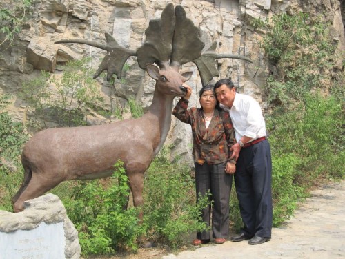 PA��Ѷ(�й���)����-PlayAce