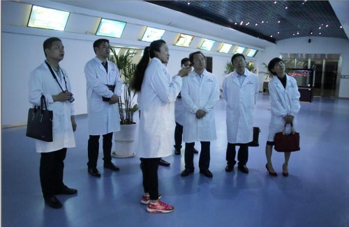 PA��Ѷ(�й���)����-PlayAce