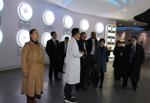 PA��Ѷ(�й���)����-PlayAce