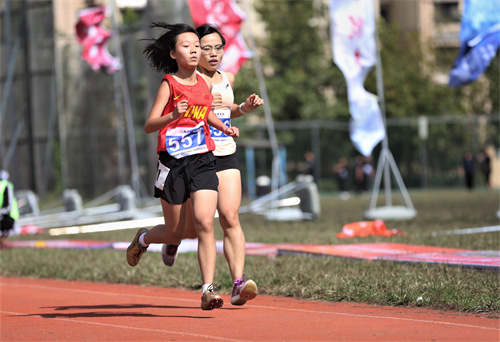 PA��Ѷ(�й���)����-PlayAce