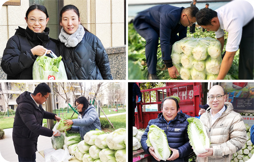 PA��Ѷ(�й���)����-PlayAce