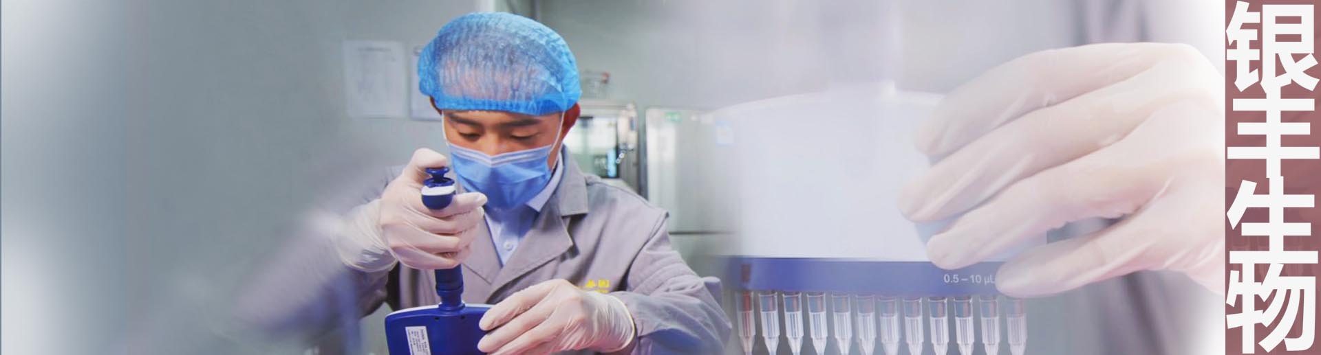 PA��Ѷ(�й���)����-PlayAce