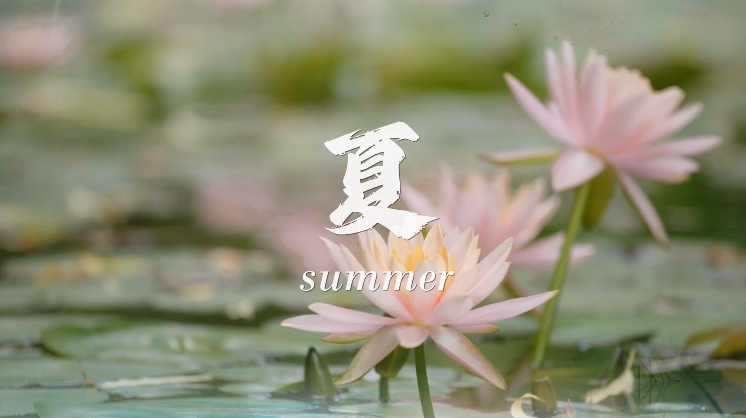 PA��Ѷ(�й���)����-PlayAce