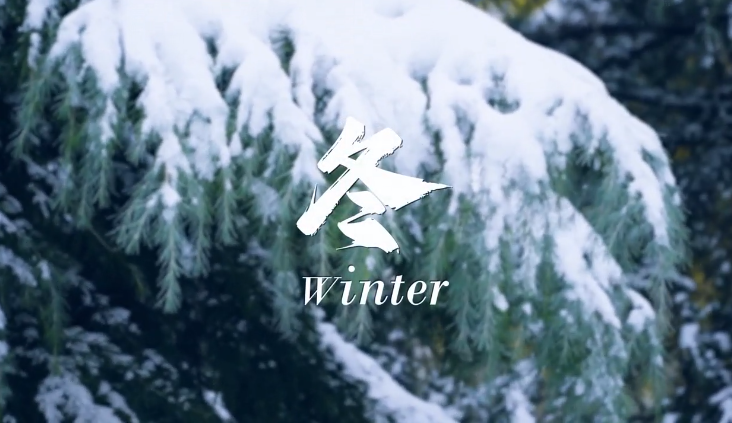 PA��Ѷ(�й���)����-PlayAce