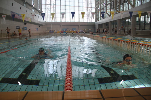 PA��Ѷ(�й���)����-PlayAce